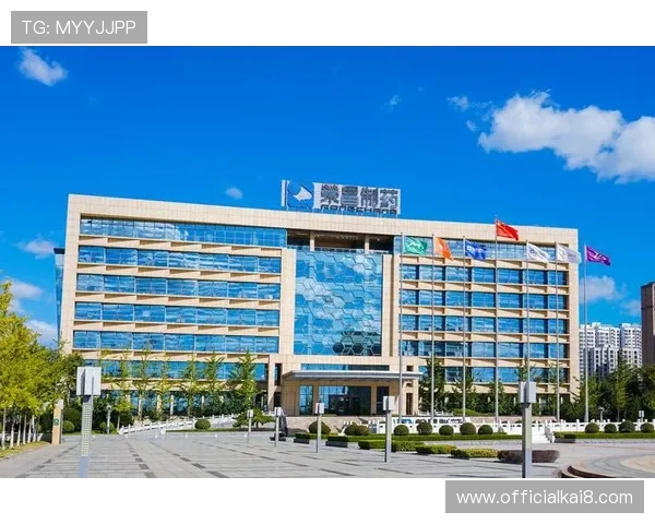 k8凯发(中国)天生赢家：探讨平台在合规运营与风险控制方面的成功经验